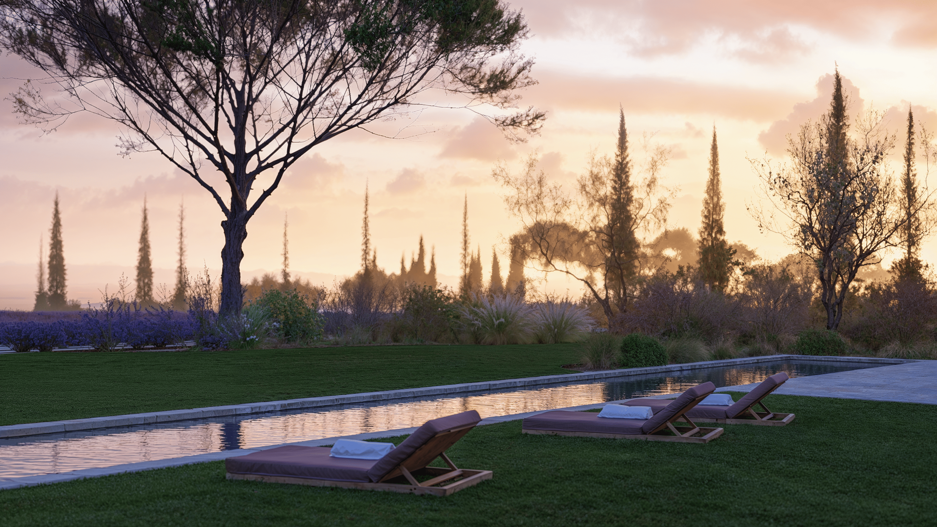 Le Jardin Des Silences