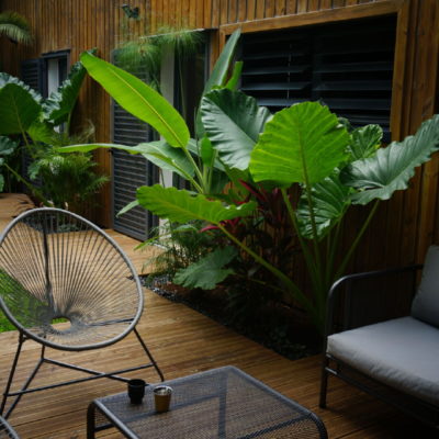 Un jardin privé à La Réunion