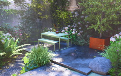 Cour intérieure et patio parisien : créer un jardin secret en ville
