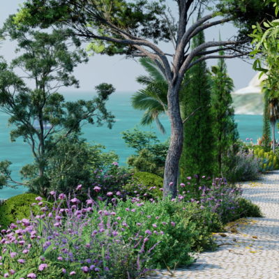 Créer un jardin sans arrosage méditerranéen