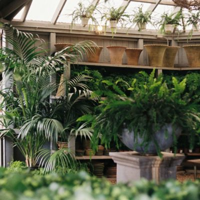 Garden Kitchen