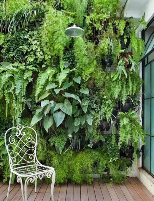 Comment habiller un mur ?