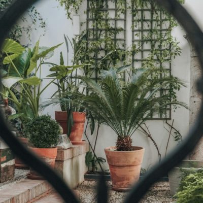 Petits jardins urbains