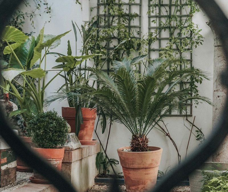 Petits jardins urbains