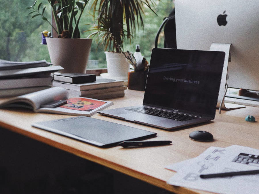 Comment bien choisir son paysagiste-concepteur ?
