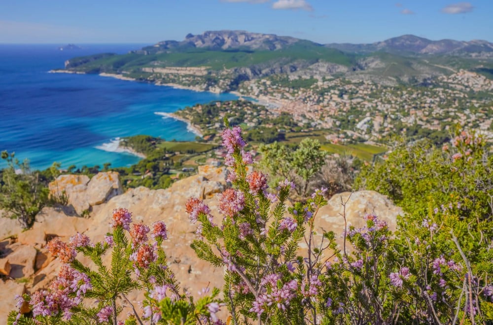 Cassis