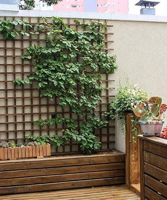 Comment habiller un mur extérieur pour votre jardin ?