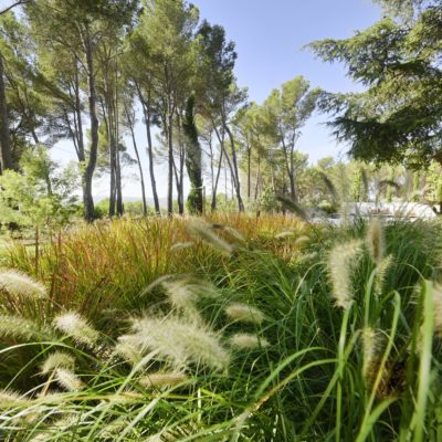 Profession Paysagiste : « Façonner des jardins vivants », mon portrait (janvier-février 2025)