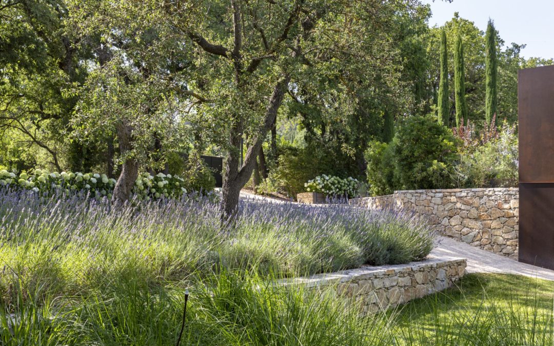 Créer un jardin en Provence quand on vit à l&rsquo;étranger