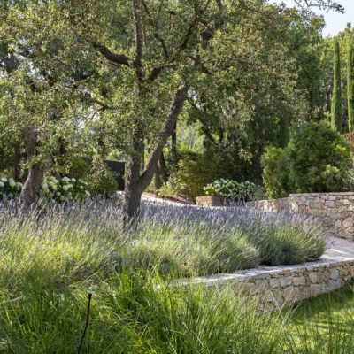 Créer un jardin en Provence quand on vit à l’étranger