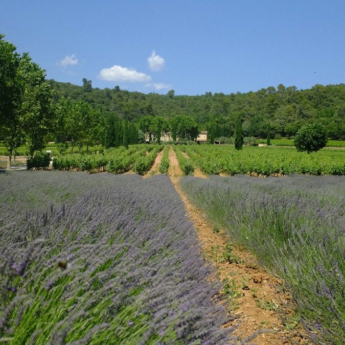 Jardins de Provence